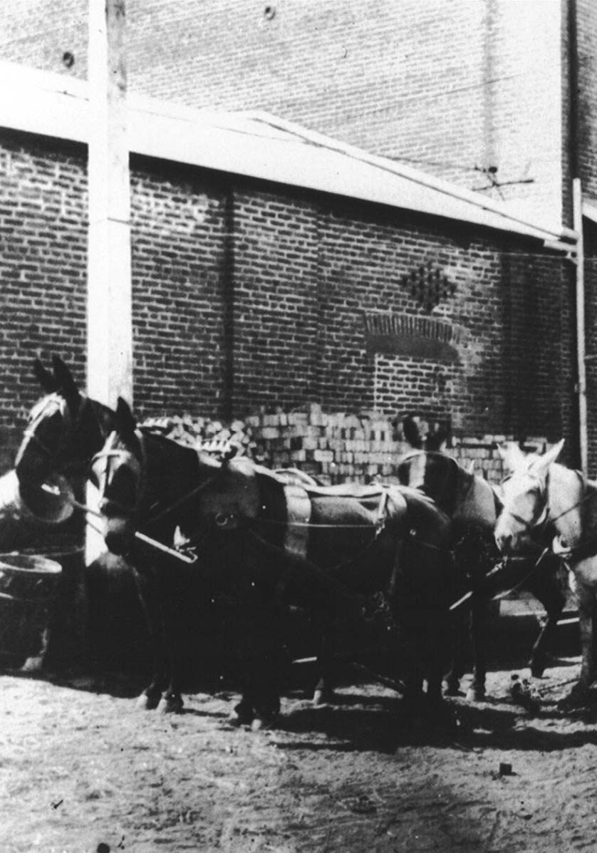 Black-and-white historical photo of mule teams hitched in front of a brick warehouse at the Napa Mill in the late 1800s, when the property operated as a working flour mill.
