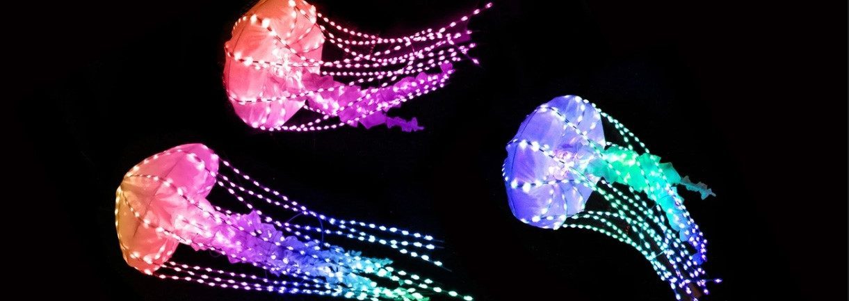 Glowing jellyfish-shaped light sculptures suspended in the air at a winter holiday lights display in Napa Valley.